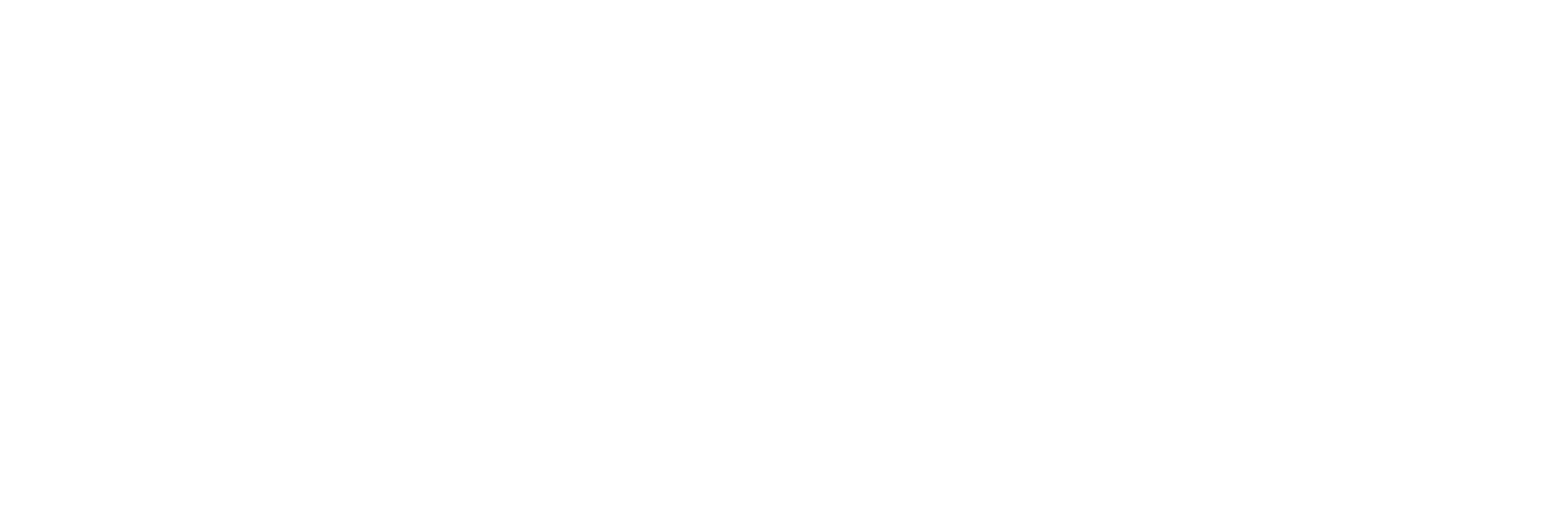 icon-finture